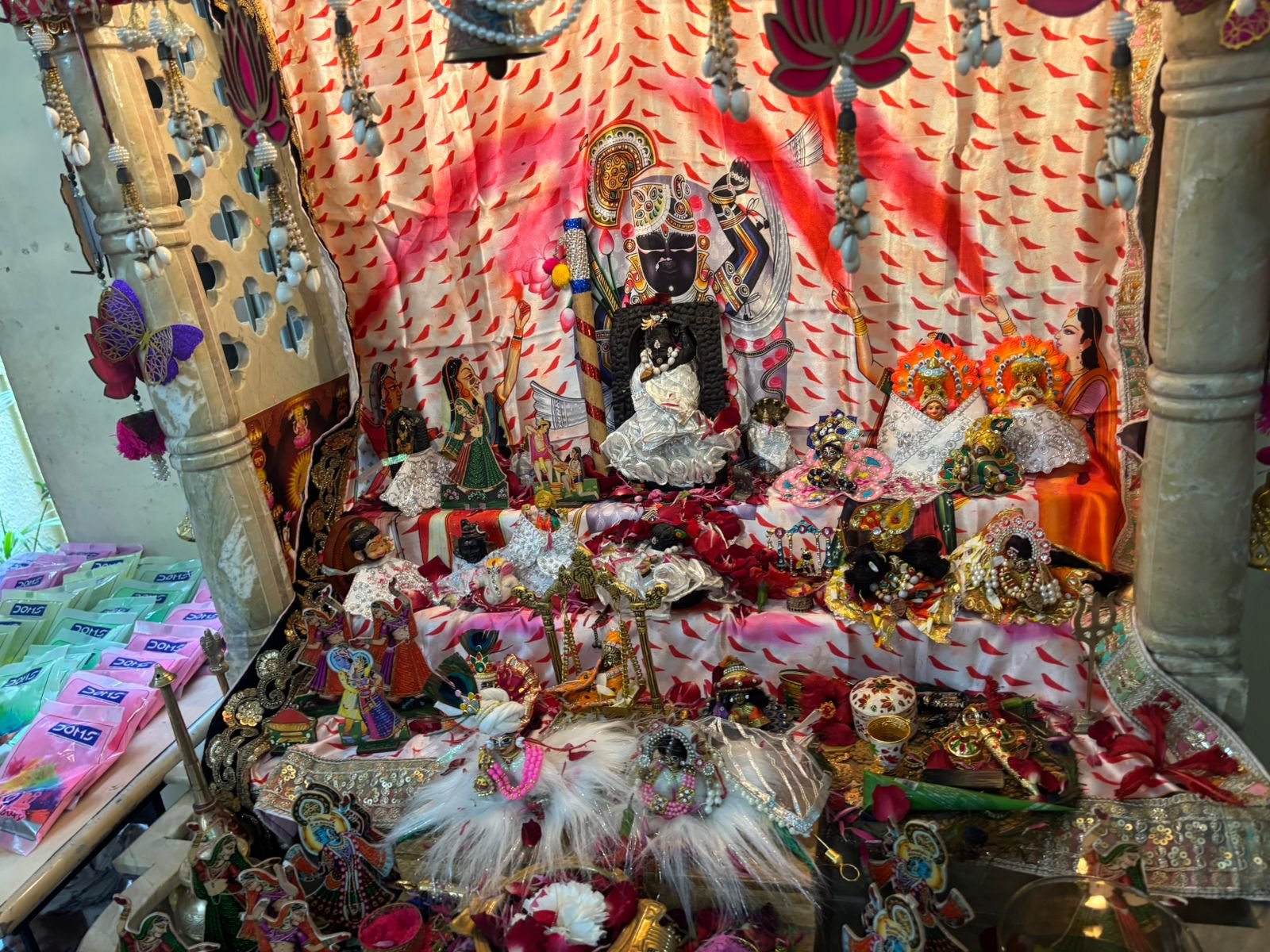 WhatsApp Image 2026-02-20 at 10.25.43 AM