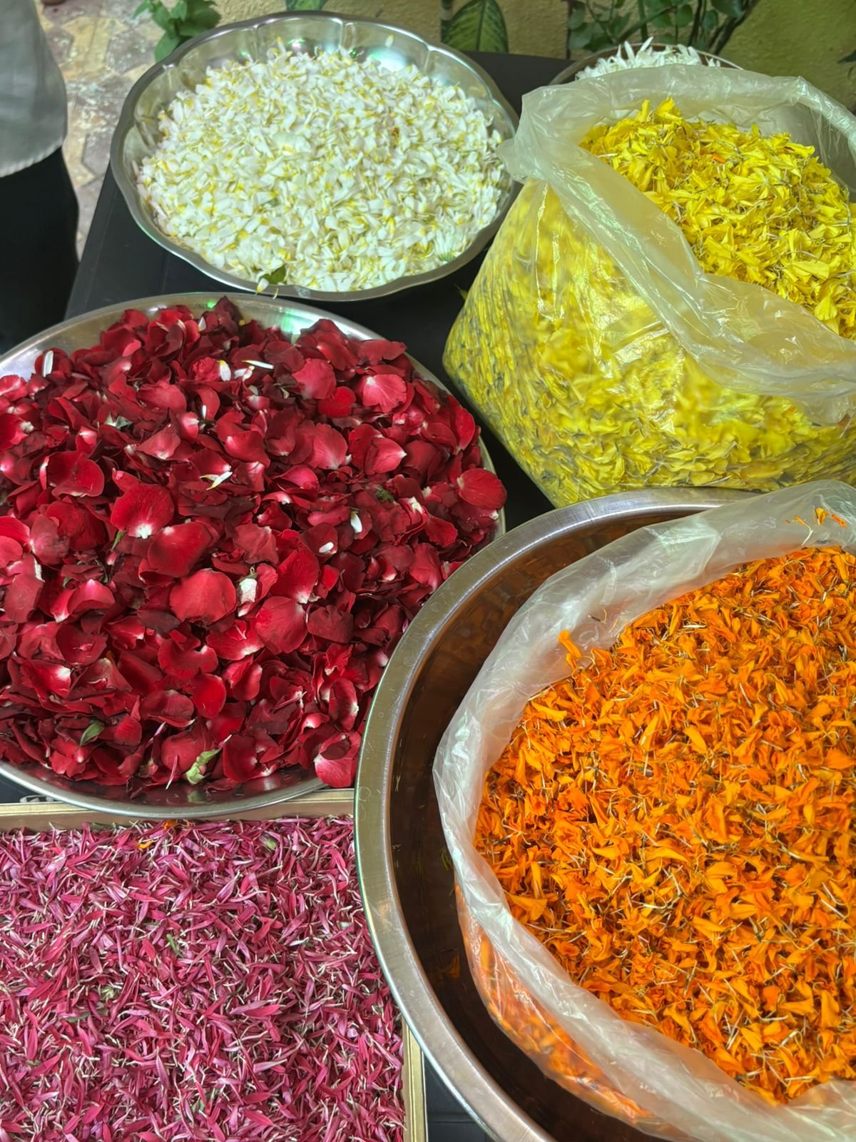 WhatsApp Image 2026-02-20 at 10.25.44 AM (1)